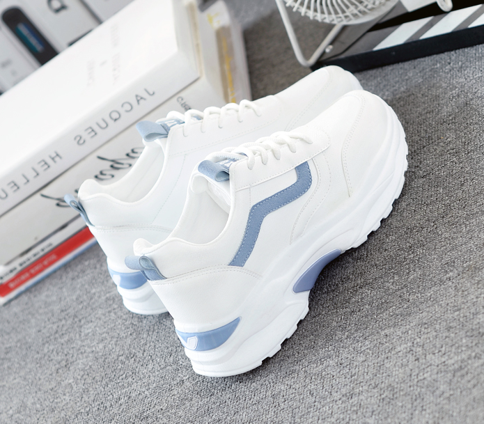 WF-00211