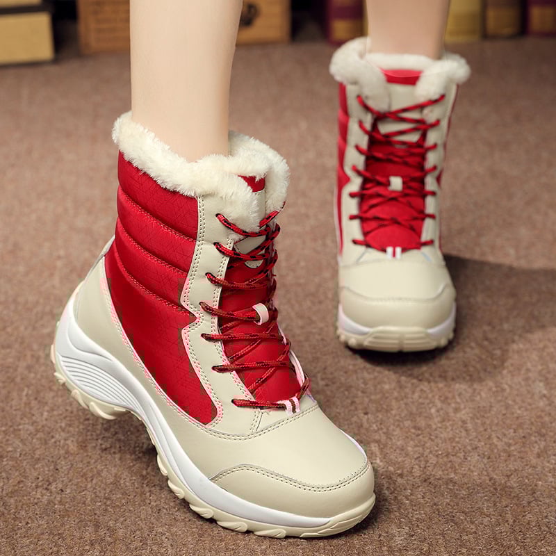 WF-00256