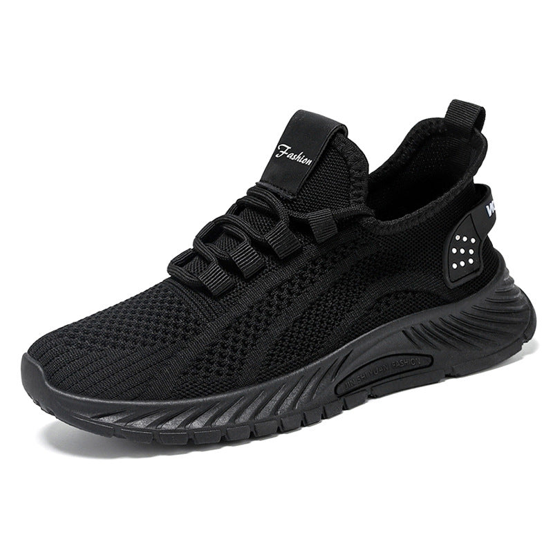 WF-00244
