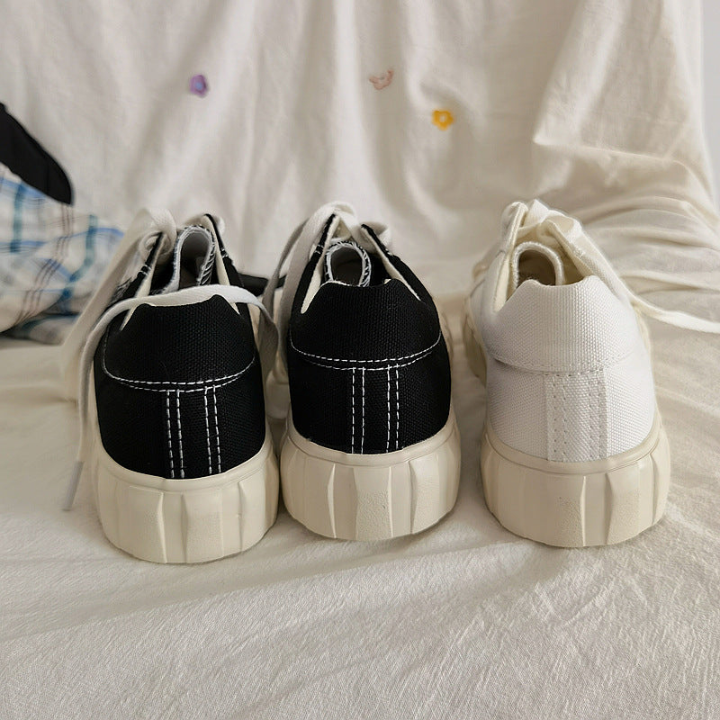 WF-00242