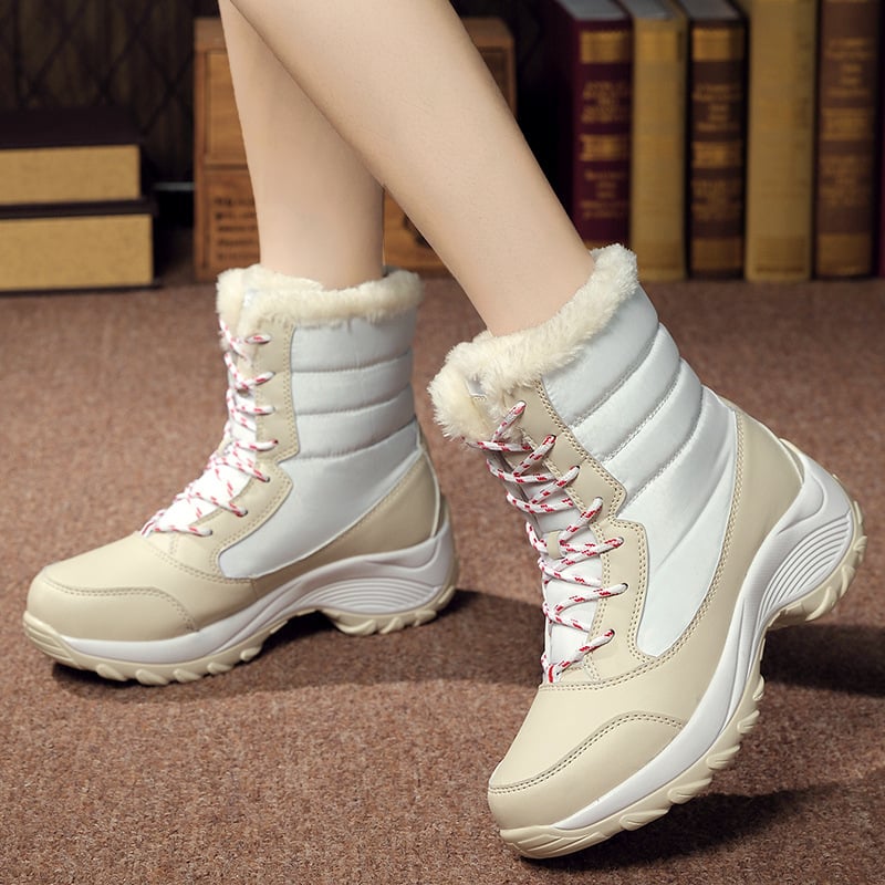 WF-00256
