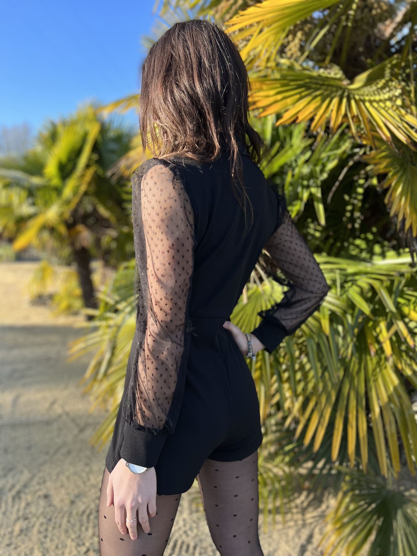 WD-00420