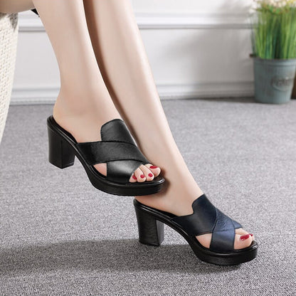 WF-00477