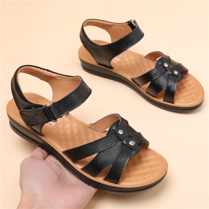 WF-00501