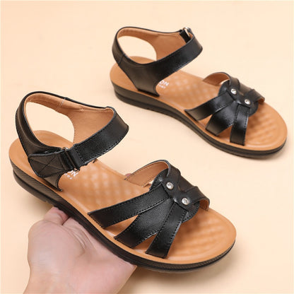 WF-00501