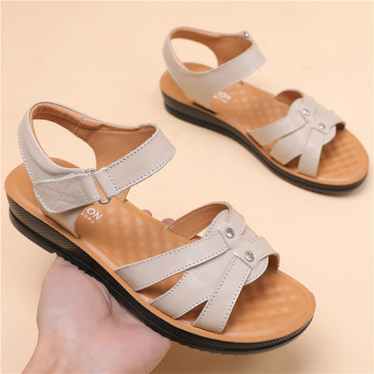 WF-00501