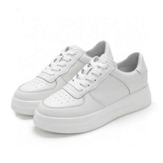 WF-00261