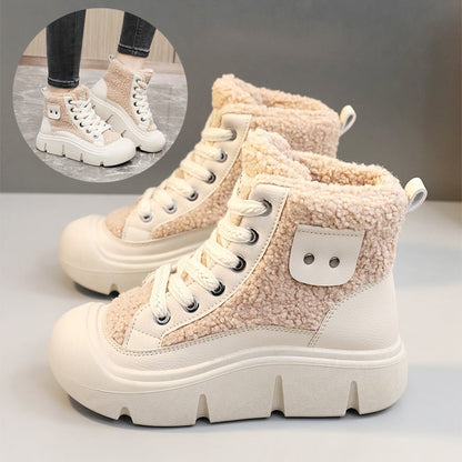 WF-00241