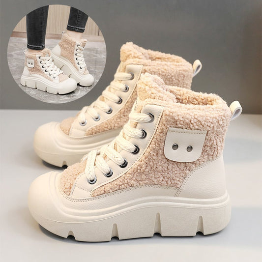 WF-00241