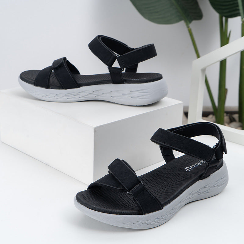 WF-00673