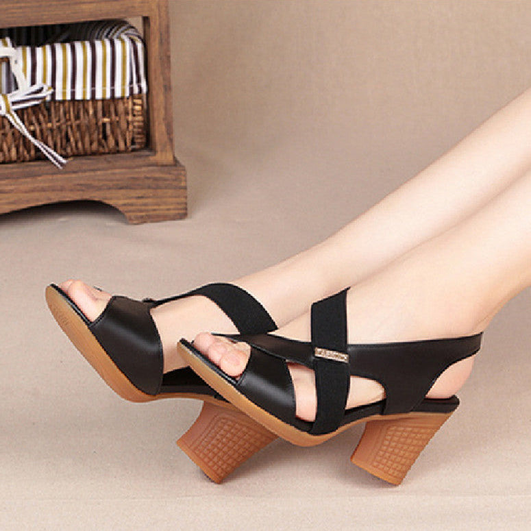 WF-00672