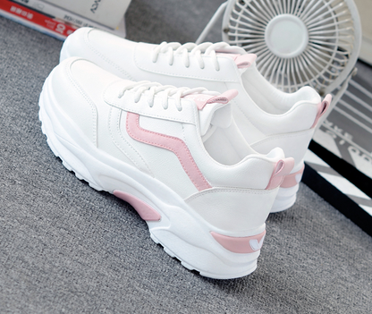 WF-00211