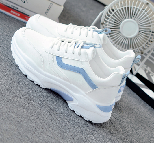 WF-00211