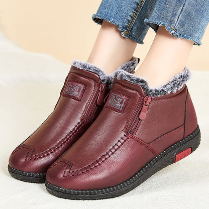WF-00258