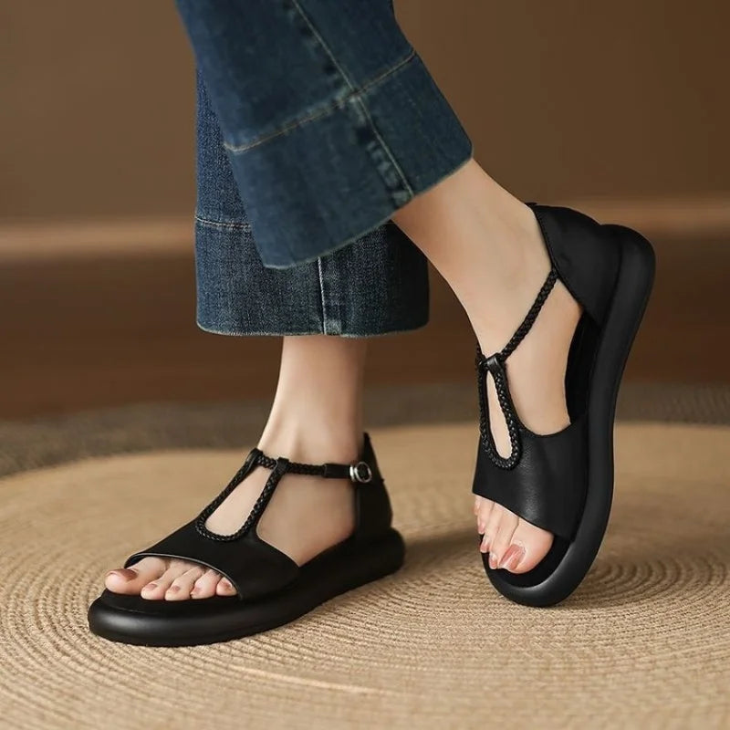 WF-00532