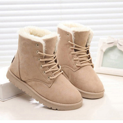 WF-00003