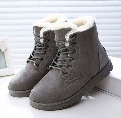 WF-00003